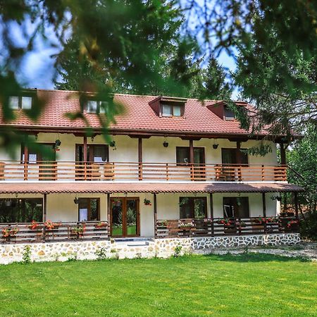 Pensiunea Vinatur Porumbacu de Sus Buitenkant foto