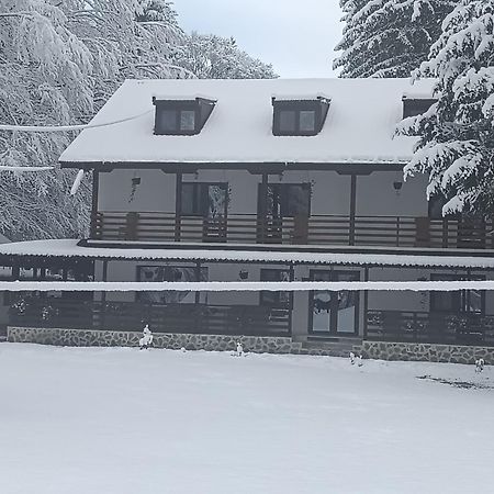 Pensiunea Vinatur Porumbacu de Sus Buitenkant foto