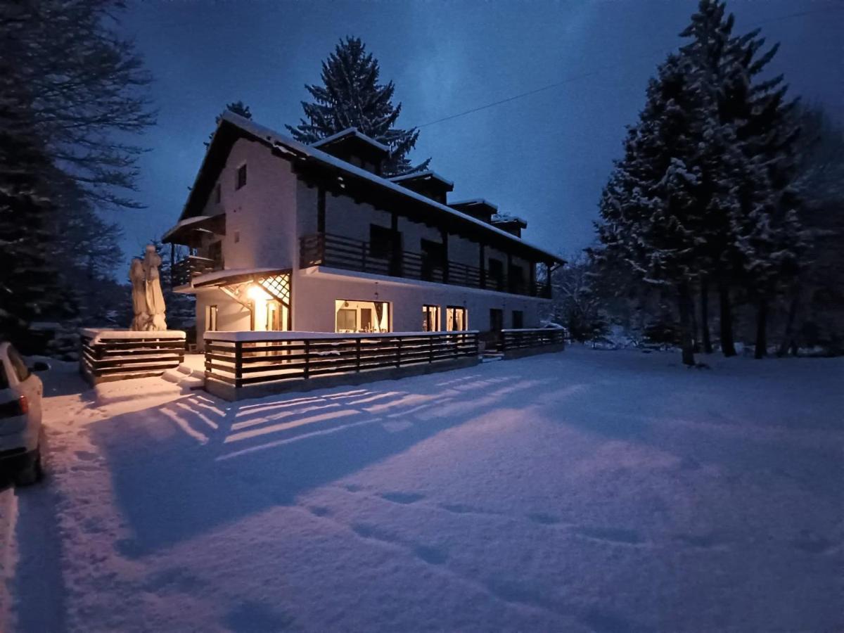 Pensiunea Vinatur Porumbacu de Sus Buitenkant foto