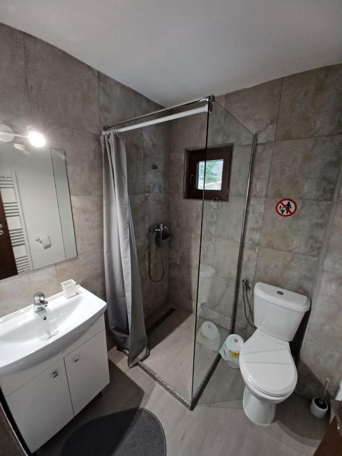 Pensiunea Vinatur Porumbacu de Sus Buitenkant foto