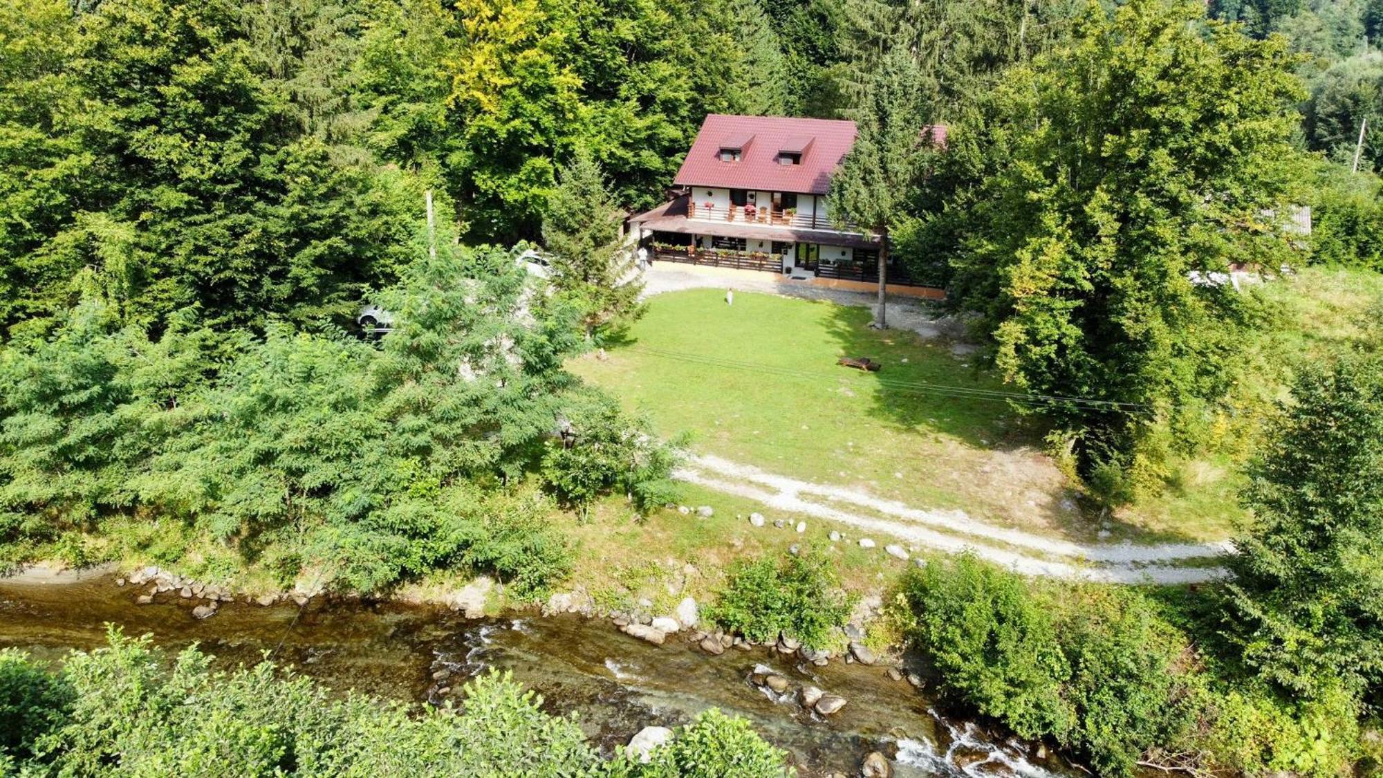 Pensiunea Vinatur Porumbacu de Sus Buitenkant foto