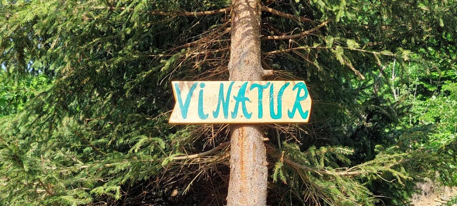 Pensiunea Vinatur Porumbacu de Sus Buitenkant foto