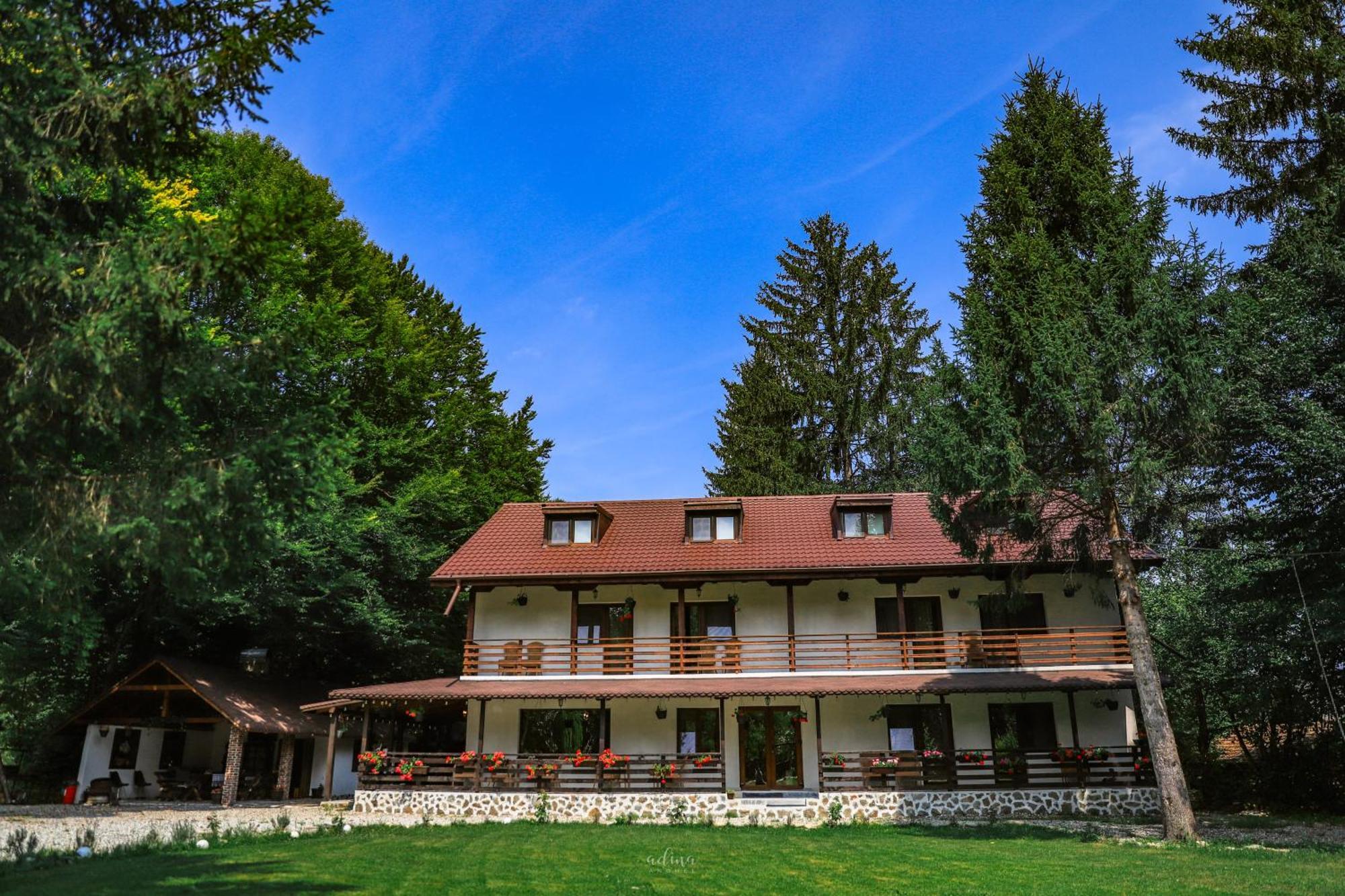 Pensiunea Vinatur Porumbacu de Sus Buitenkant foto
