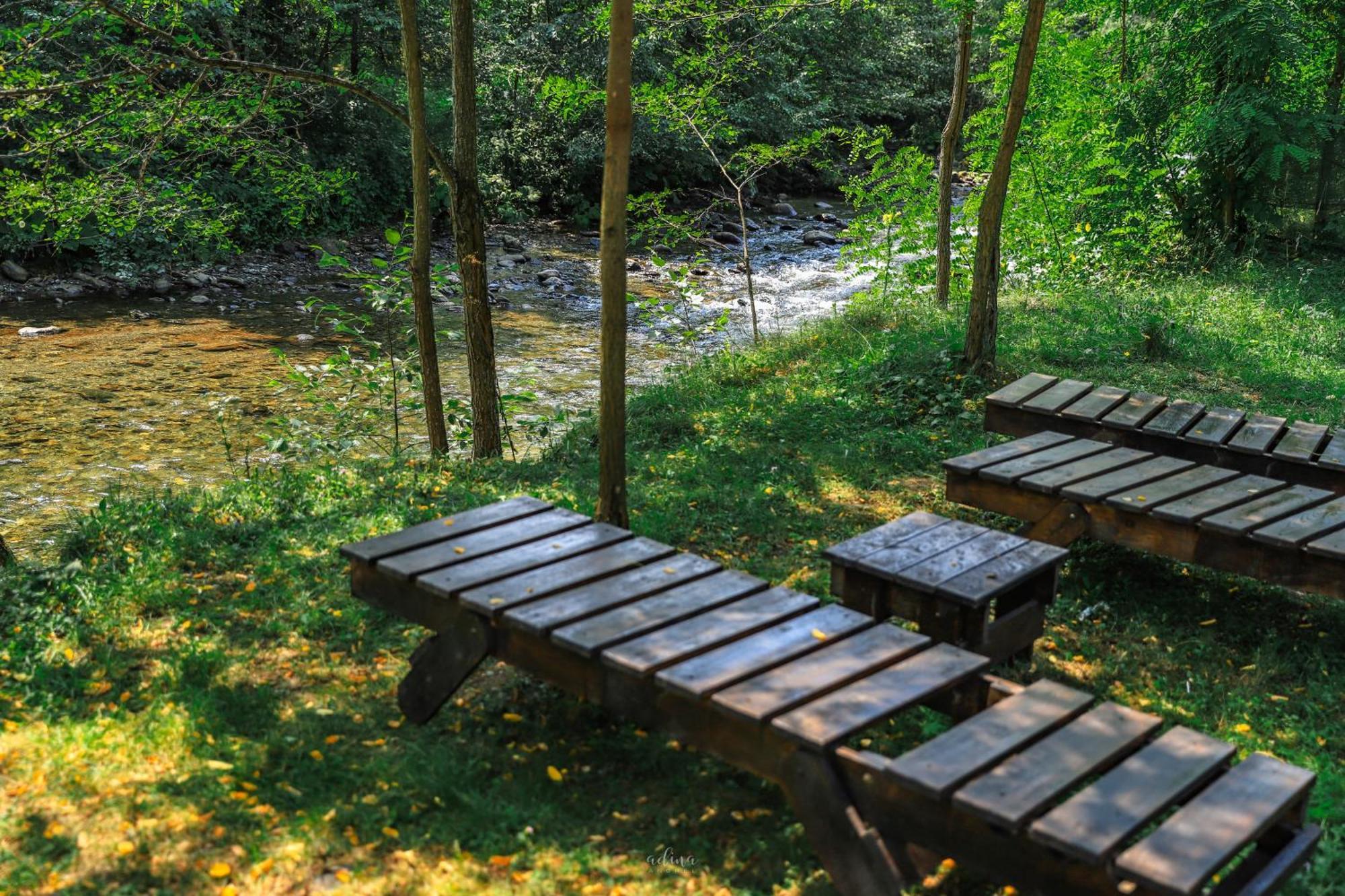 Pensiunea Vinatur Porumbacu de Sus Buitenkant foto