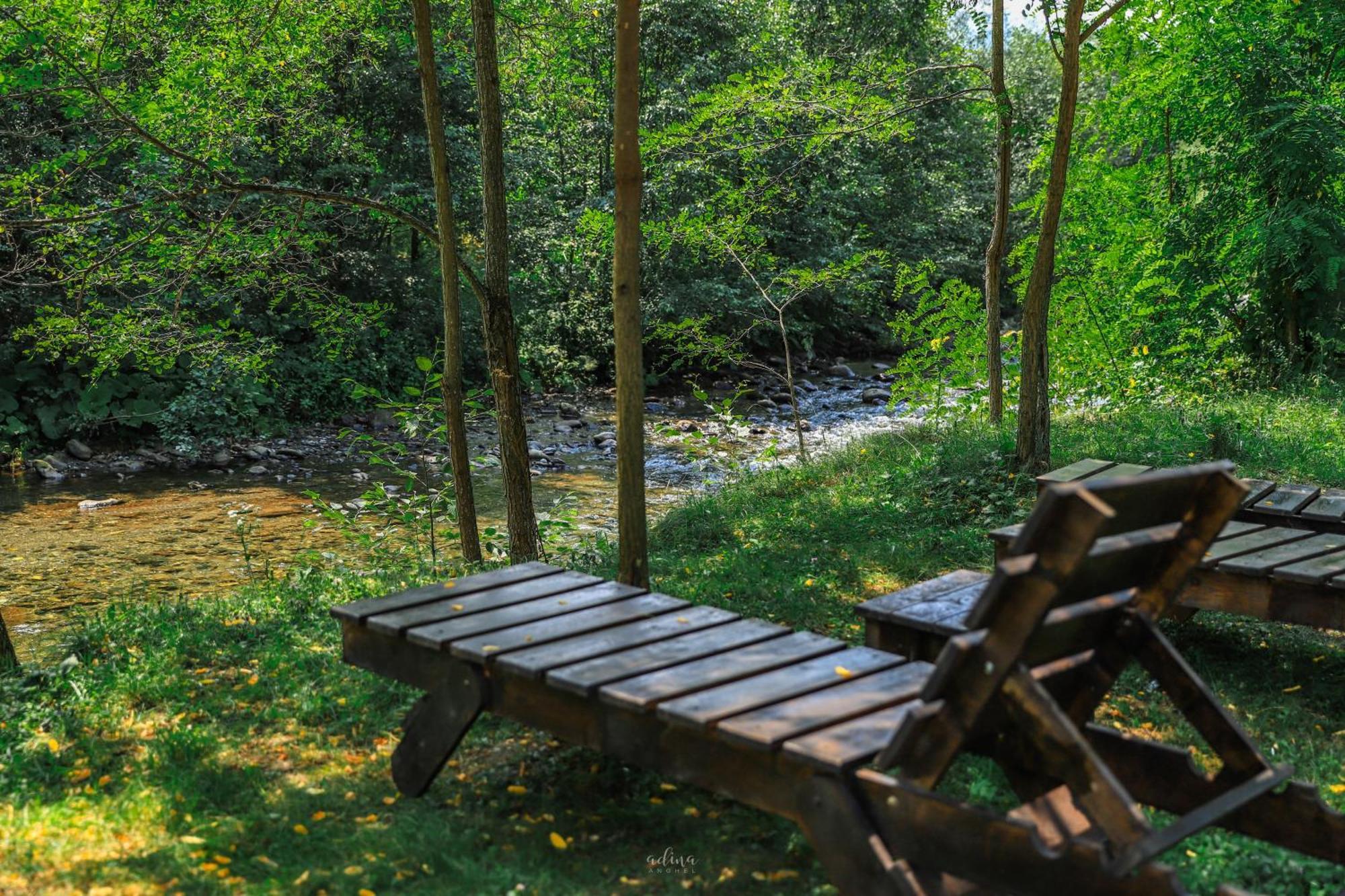 Pensiunea Vinatur Porumbacu de Sus Buitenkant foto