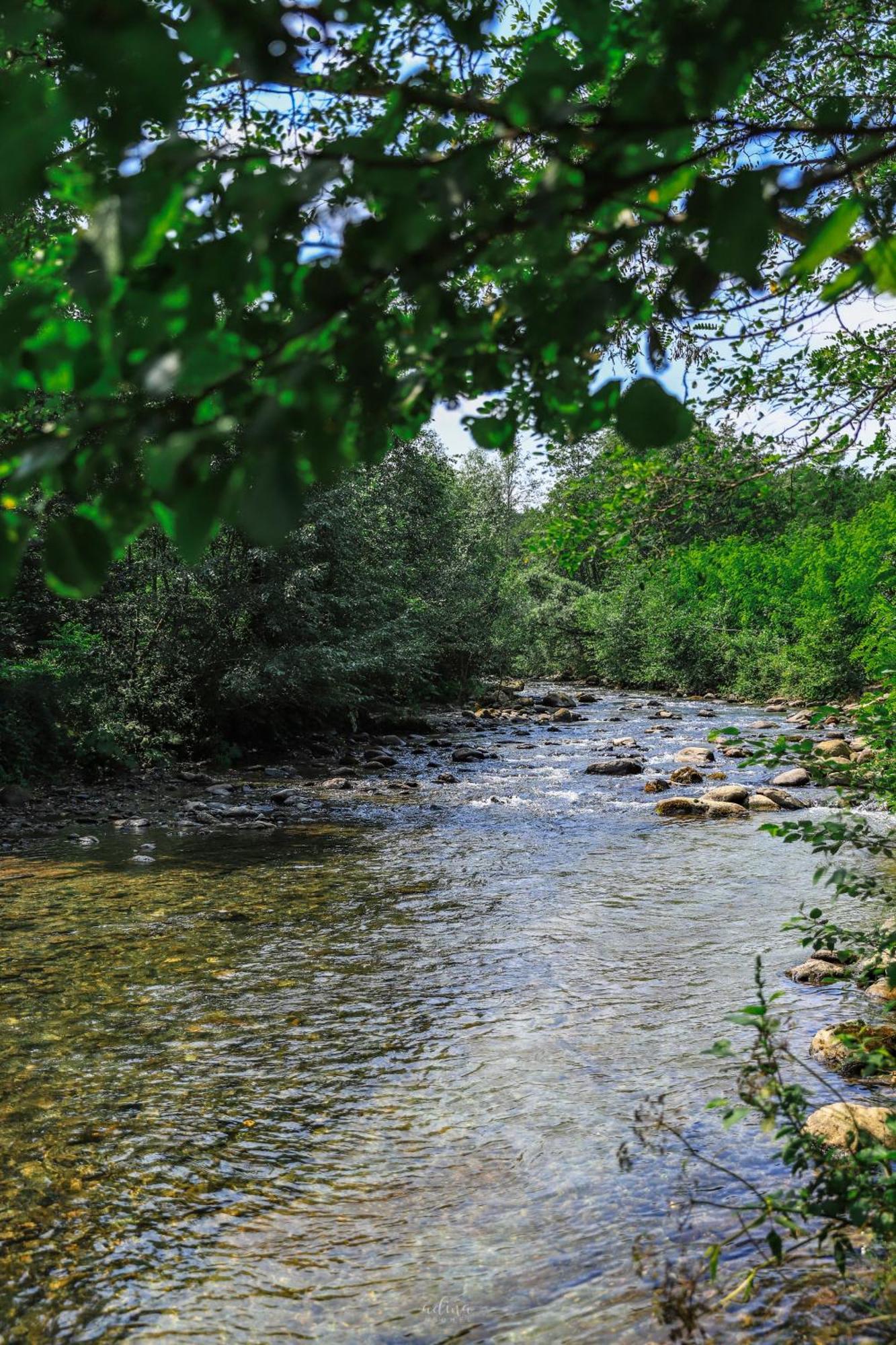 Pensiunea Vinatur Porumbacu de Sus Buitenkant foto