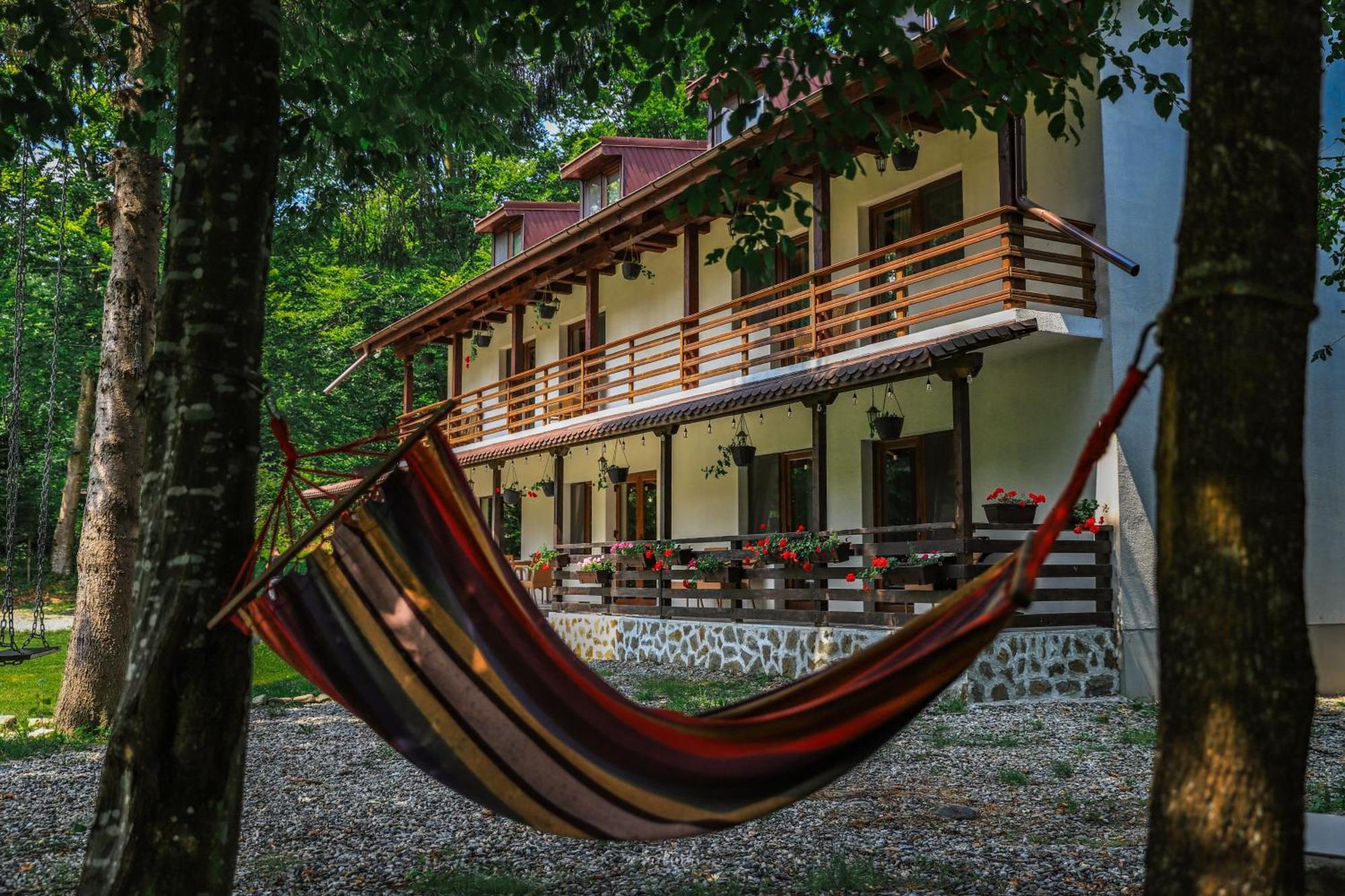 Pensiunea Vinatur Porumbacu de Sus Buitenkant foto