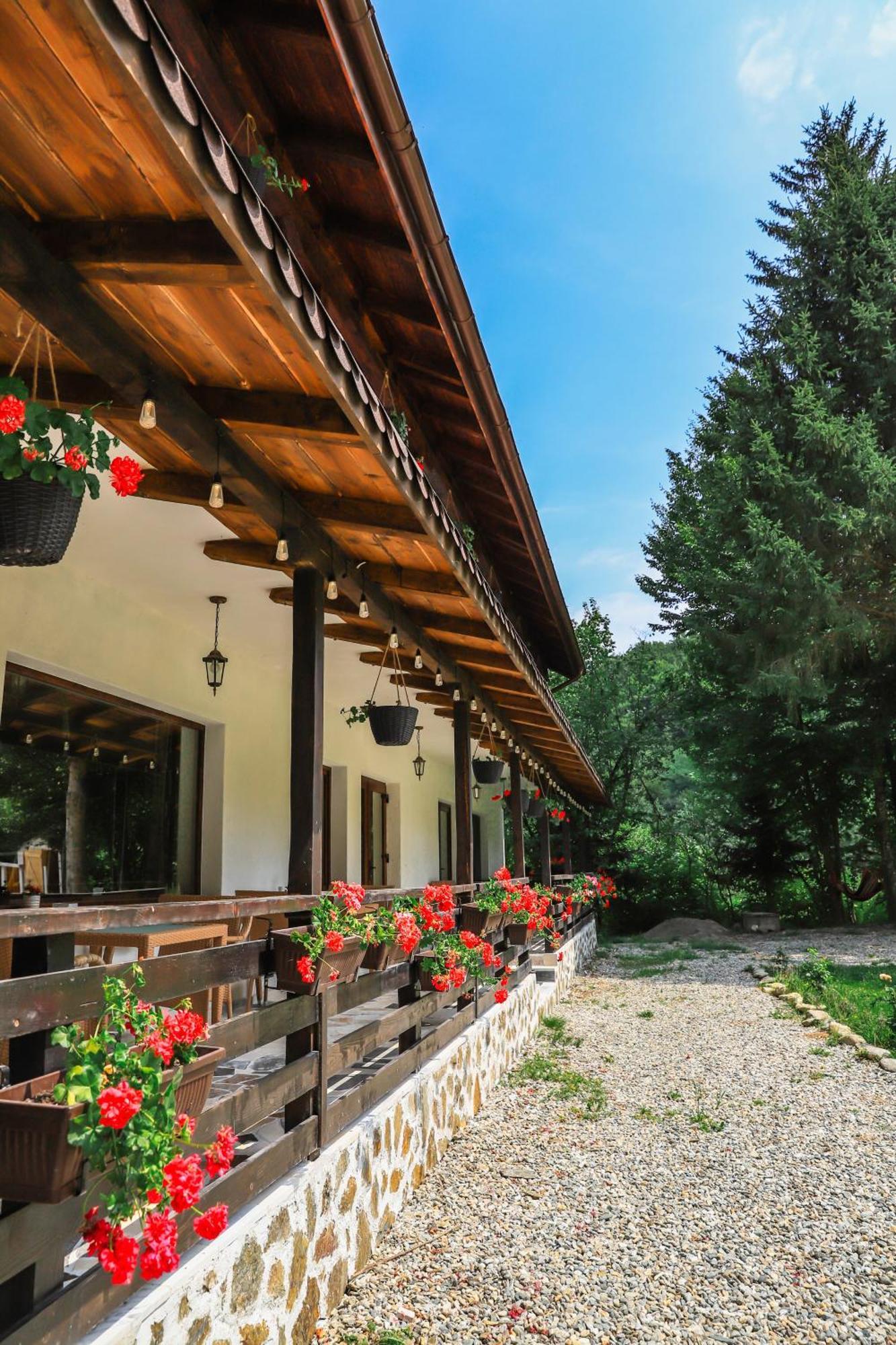 Pensiunea Vinatur Porumbacu de Sus Buitenkant foto