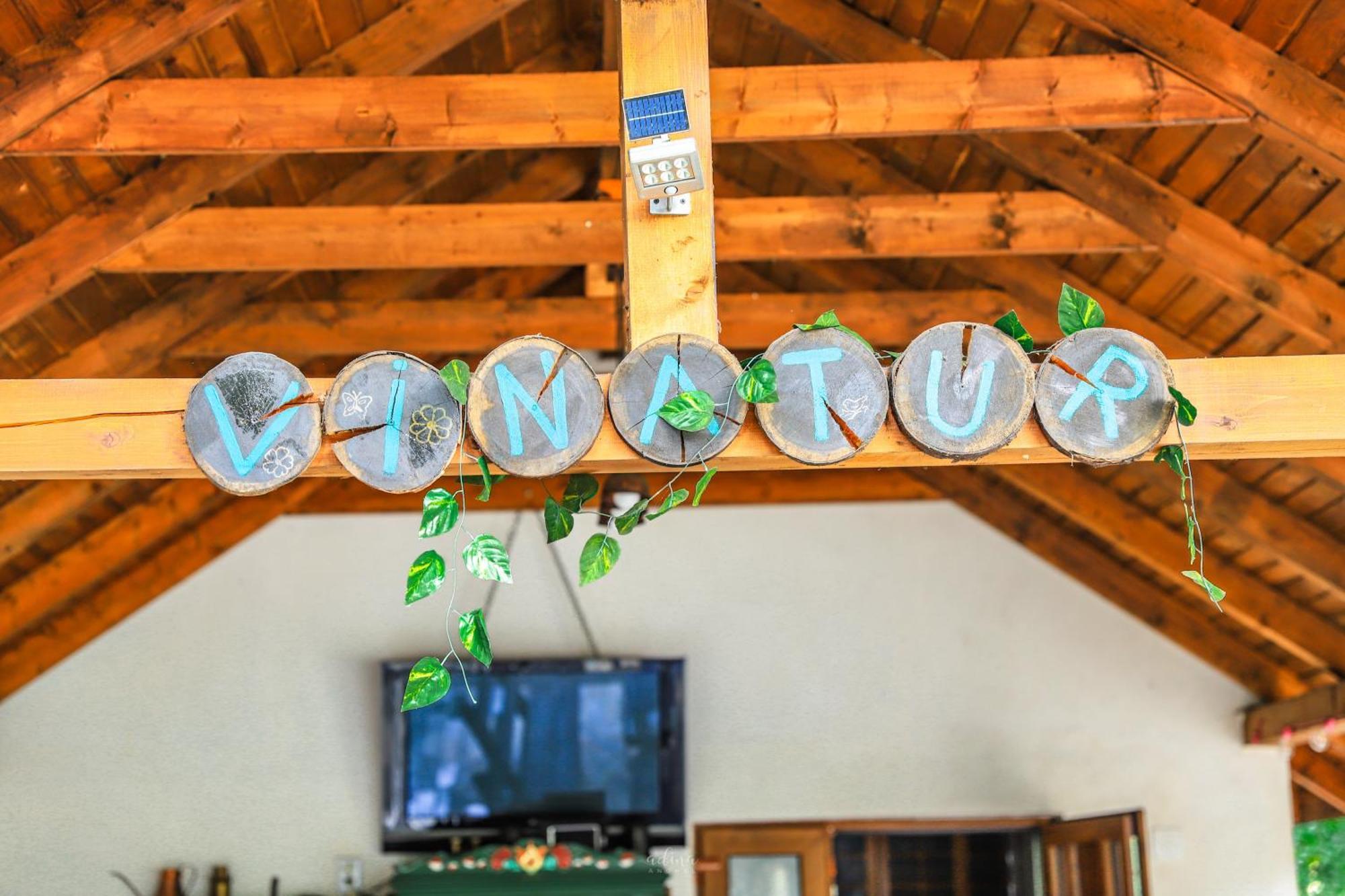 Pensiunea Vinatur Porumbacu de Sus Buitenkant foto