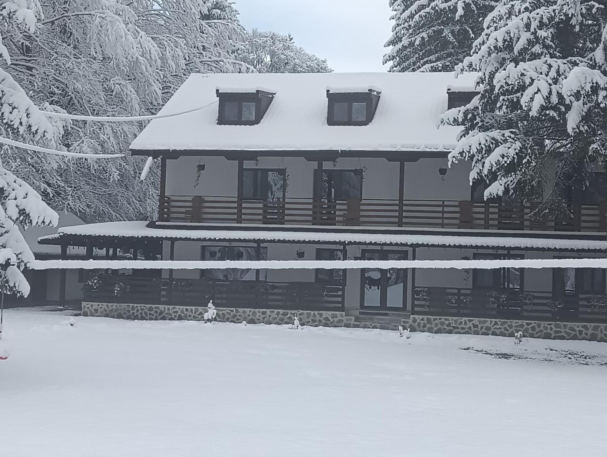 Pensiunea Vinatur Porumbacu de Sus Buitenkant foto